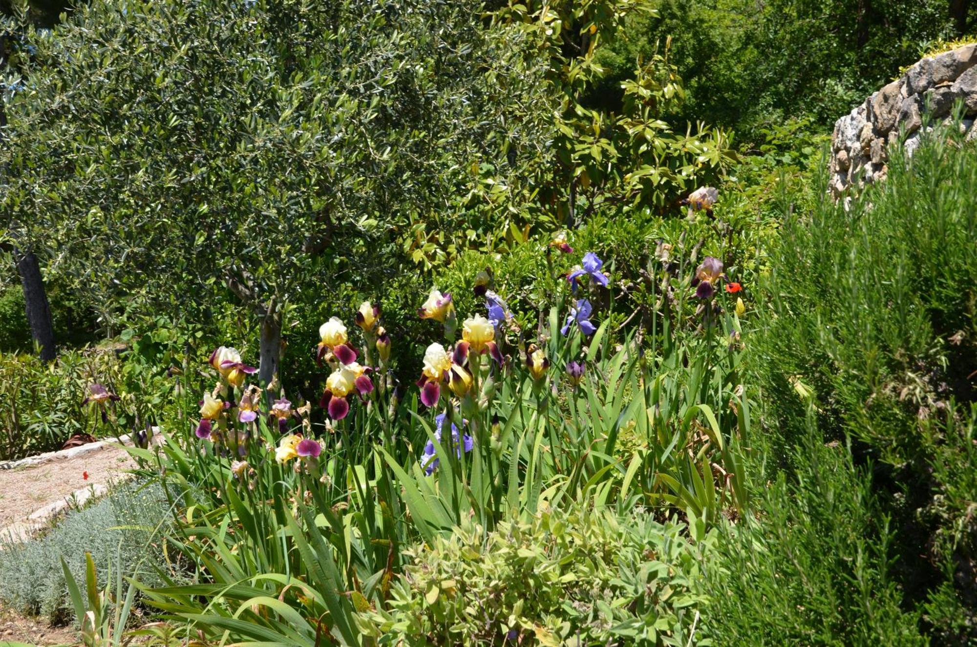 Bed and Breakfast La Bastide Des Pins Ванс Экстерьер фото