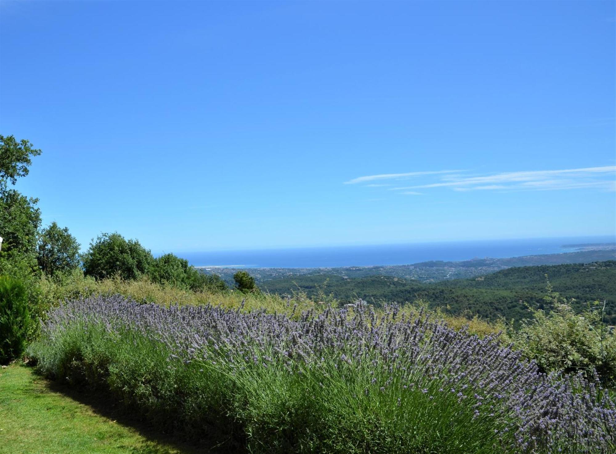 Bed and Breakfast La Bastide Des Pins Ванс Экстерьер фото